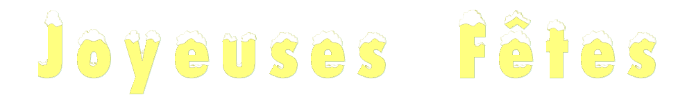 CNVV - MJC de Vaulx en Velin